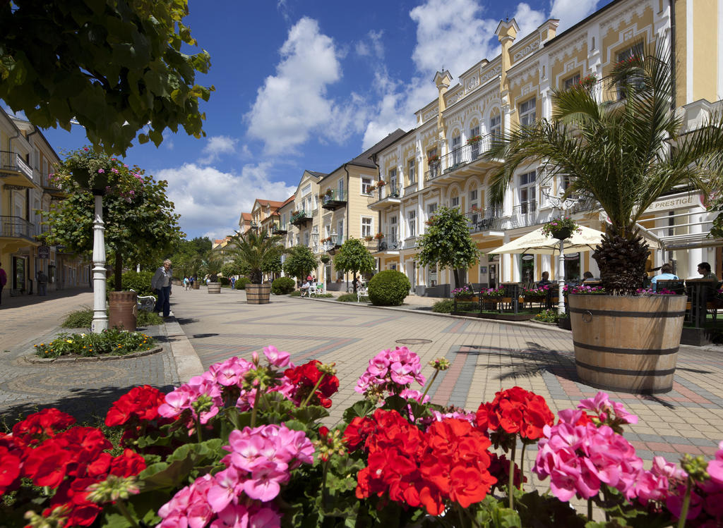 Dr. Adler Spa & Kurhotel Frantiskovy Lazne Exterior photo